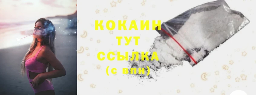 Cocaine Перу  Заводоуковск 